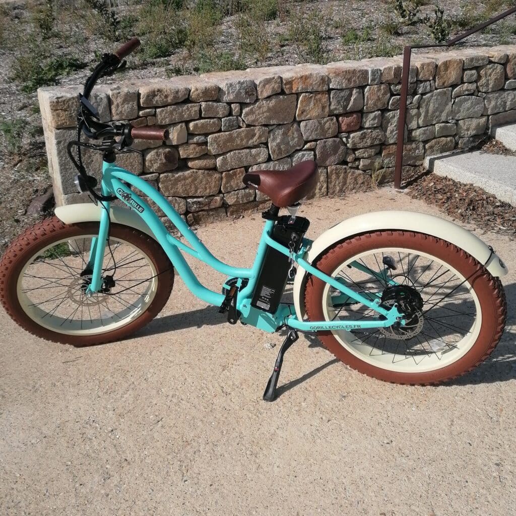 location fatbike erdeven